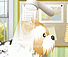 Pet-Grooming Studio